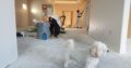 Distemper House